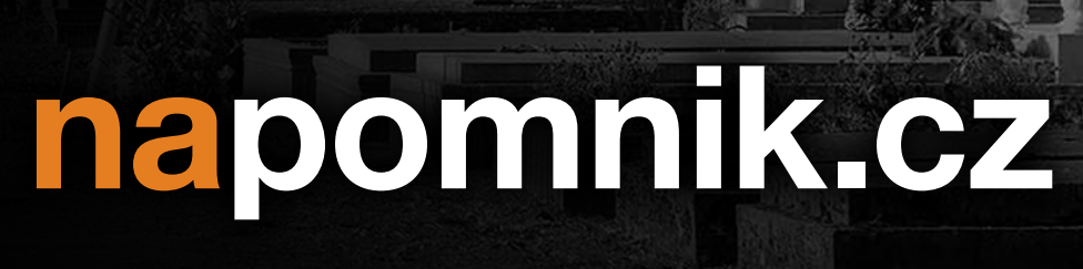 Primary Raster logo